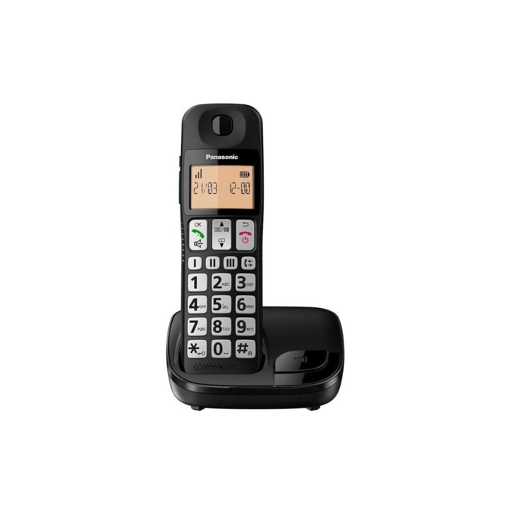 Panasonic Cordless Phone, PAN-TGE310SPB